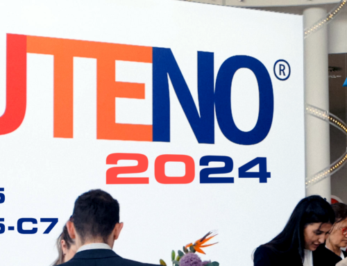 Kuteno 2024